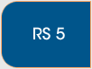 Pagid RS4-2